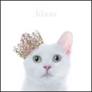 BEST SELECTION “blanc”