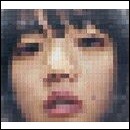 猫にジェラシー