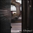 I Wanna Go To Hawaii.