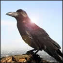 町を見下ろす丘