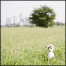 たましいによろしく