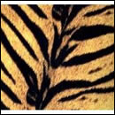 タイガーモービル