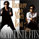 鼻毛の森ベスト-GRAY-TASTE FITS-