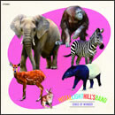 センスオブワンダー