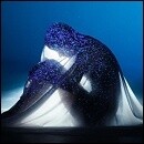 うまれるまえからきみをしってる