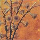 迷える百合達～Romance of Scarlet～