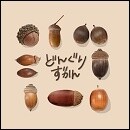 どんぐりずかん