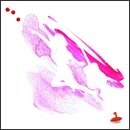 オーバールック