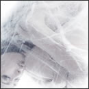 去年も、今年も、来年も、