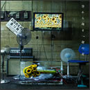 空から降る一億の星