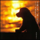 上を向いて歩こう／遠くへ行きたい