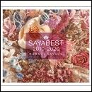 佐咲紗花 10th Anniversary Best Album 「SAYABEST 2010-2020」