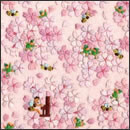 ライブ・アット・ラカーニャ 春