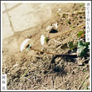 君によく似た人がいる