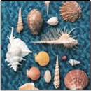 CYCLE HIT 1991-1997 Spitz Complete Single Collection