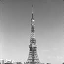 ベランダの煙草