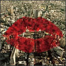 ガイガーカウンターカルチャー