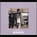 complete of WANDS at the BEING studio