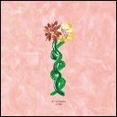 オーロラの日々