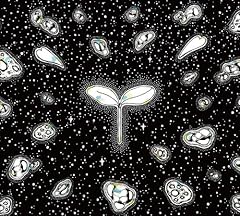 new morning(Japanese ver.)