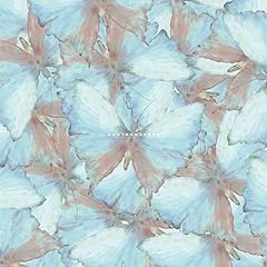 おそろしいもの(Album Ver.)