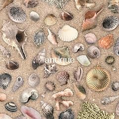 海馬の尻尾に小栴檀