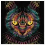 ハラ■■ show time