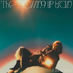 ドライフルーツ