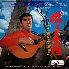 たった一度の恋