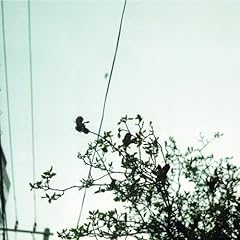 グレーマンのせいにする