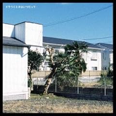 デイリーネイビークレイジー