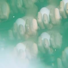 空腹な動物のための