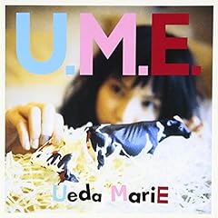 中華街へ行きましょう