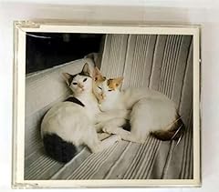 彼女は言った(Live at日比谷野外大音楽堂02.5.5)