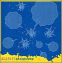 夕暮れオレンジ