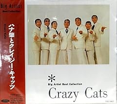 ハイ それまでョ