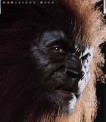 獣は裸になりたがる