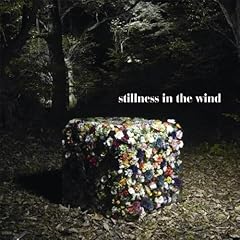 stillness in the wind