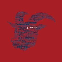 ですとらくしょん!!