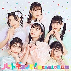 きっとスタンダード