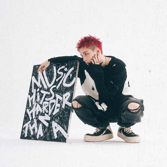 これが俺の“ミクスチャー宣言”