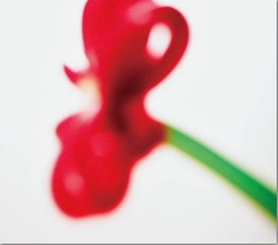 ジャケット画像2です。 