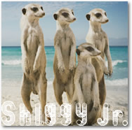 ジャケット画像1です。 