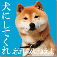 ジャケット画像です。 