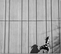 ジャケット画像です。 