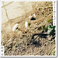 ジャケット画像です。 