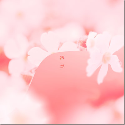 ジャケット画像です。 